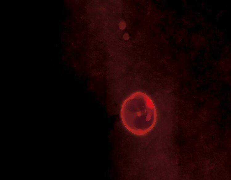 Thiên Chân Hữu Tà - Chapter 13 - Trang 49