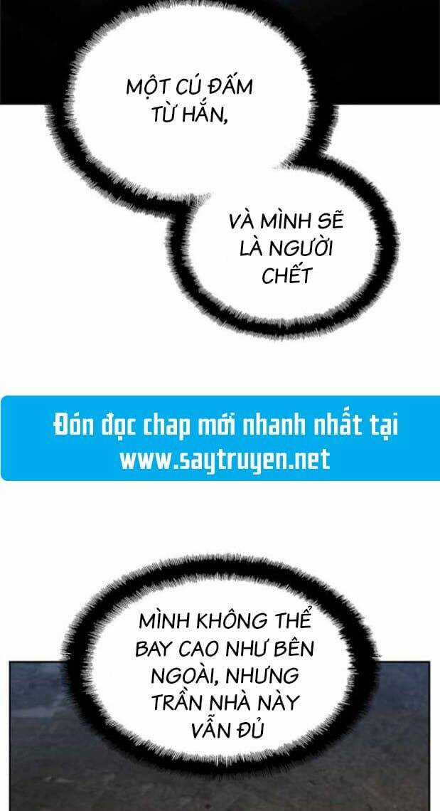 Thiền Định - Samadhi - Chapter 18 - Trang 35