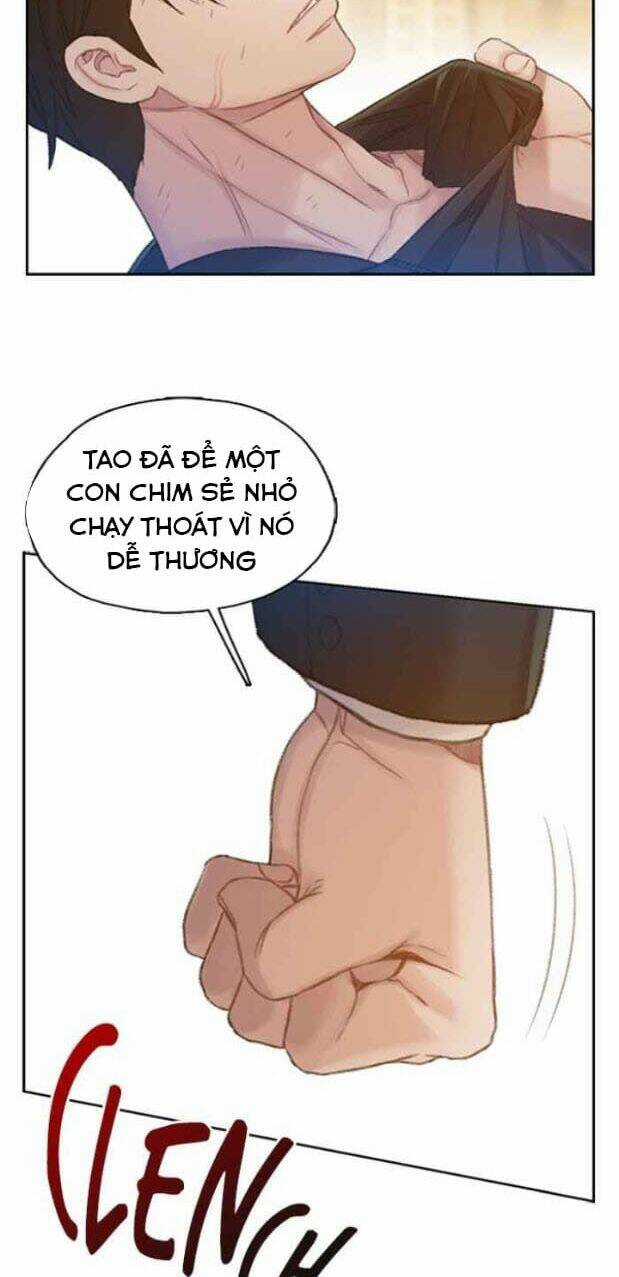 Thiền Định - Samadhi - Chapter 18 - Trang 56