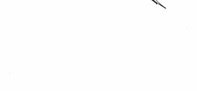 Thiên Hạ Đệ Nhất Nhân - Chapter 27 - Trang 91