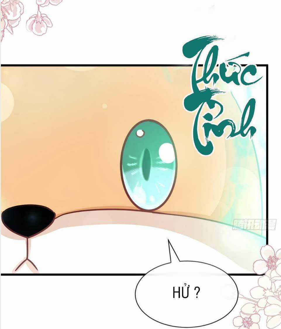 Thiên Hạ Đệ Nhất Sủng Phi - Chapter 149.2 - Trang 25