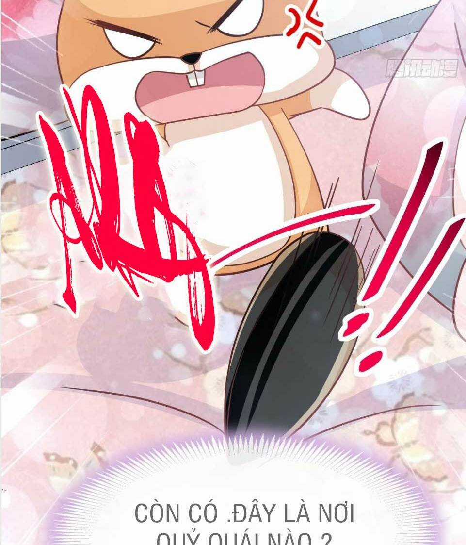 Thiên Hạ Đệ Nhất Sủng Phi - Chapter 149.2 - Trang 28