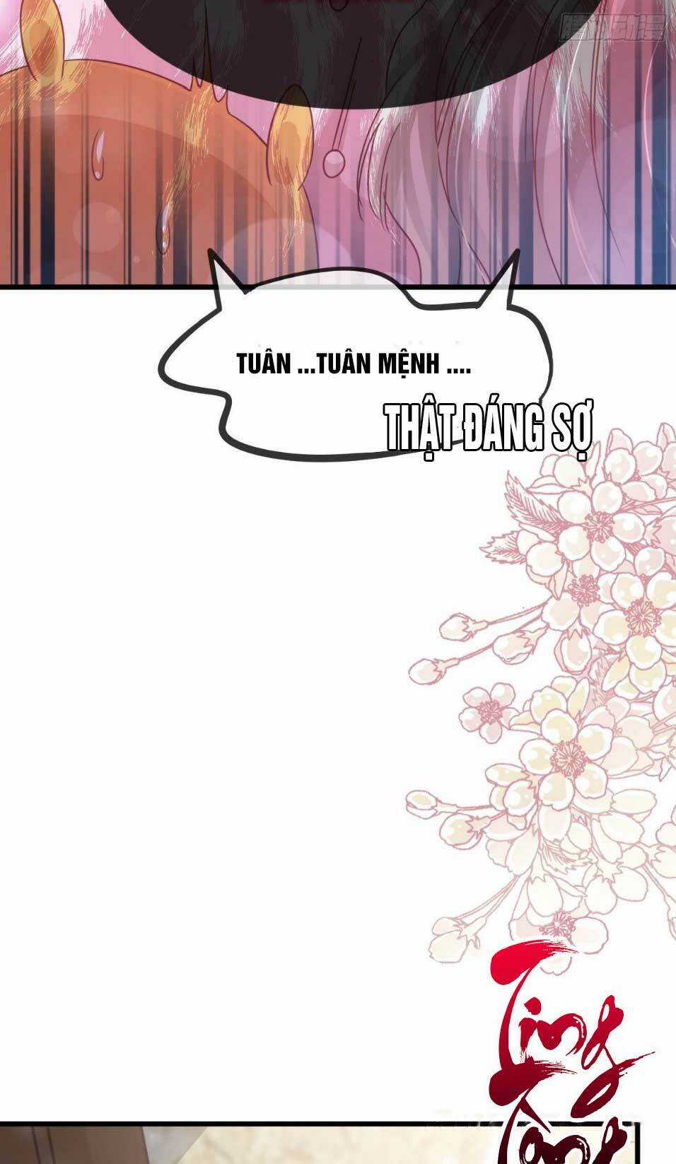 Thiên Hạ Đệ Nhất Sủng Phi - Chapter 156.2 - Trang 6