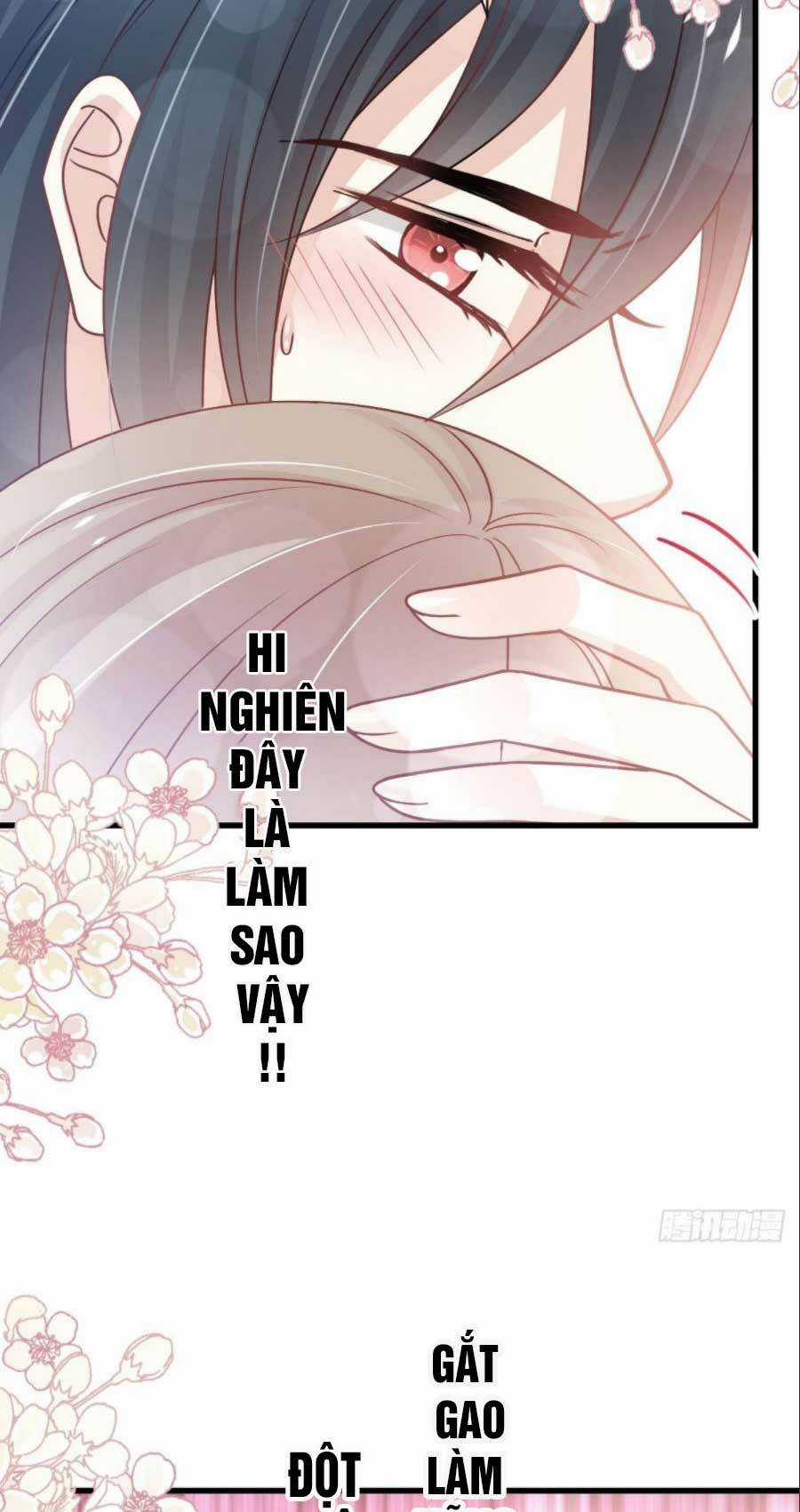 Thiên Hạ Đệ Nhất Sủng Phi - Chapter 164.1 - Trang 12