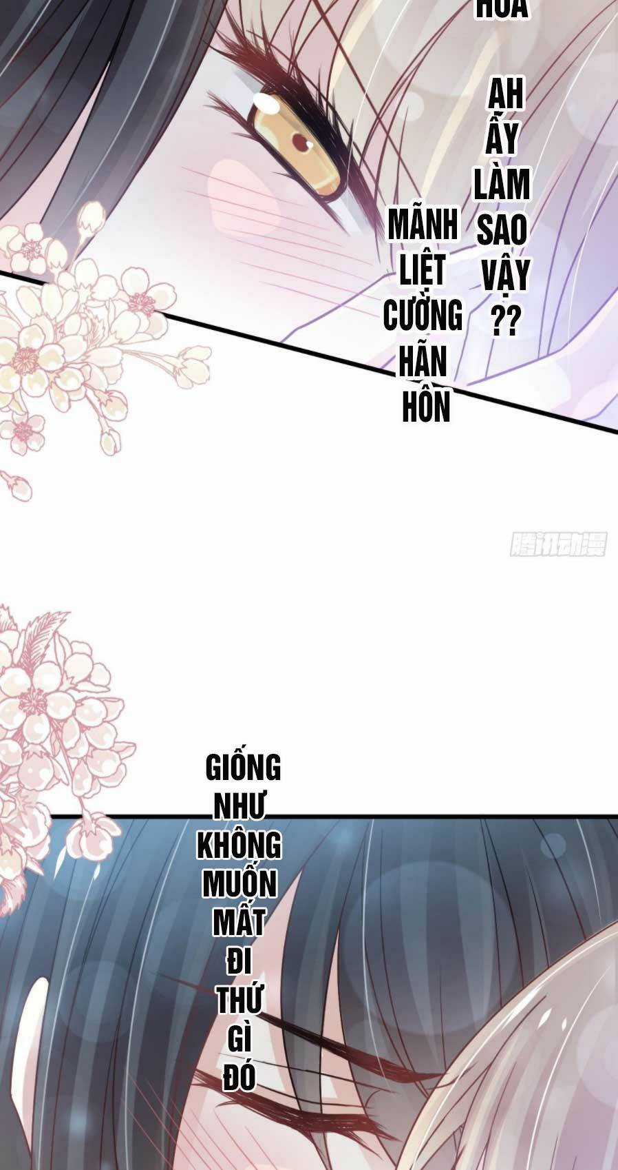 Thiên Hạ Đệ Nhất Sủng Phi - Chapter 164.2 - Trang 13