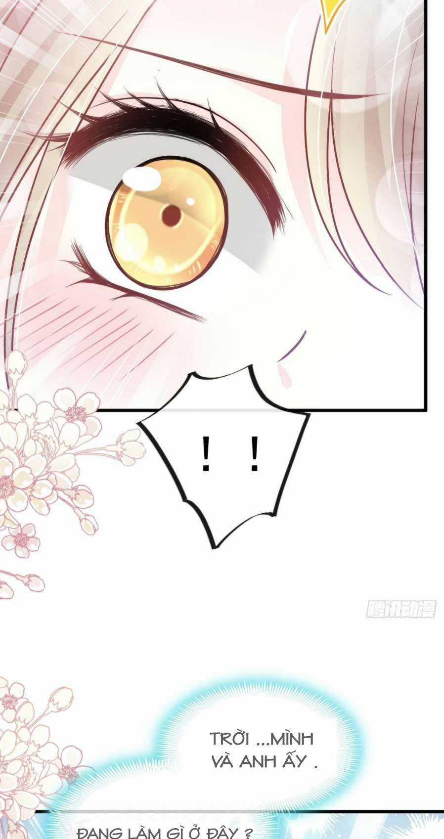 Thiên Hạ Đệ Nhất Sủng Phi - Chapter 164.2 - Trang 5