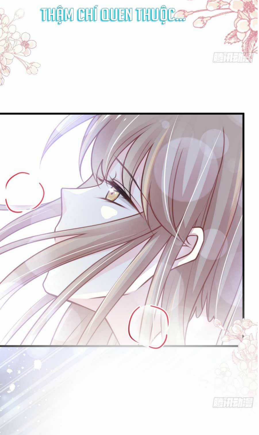 Thiên Hạ Đệ Nhất Sủng Phi - Chapter 184.1 - Trang 6