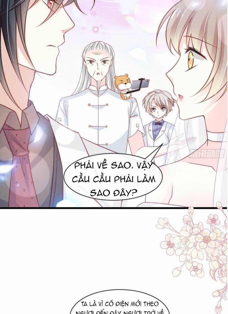 Thiên Hạ Đệ Nhất Sủng Phi - Chapter 186.1 - Trang 6