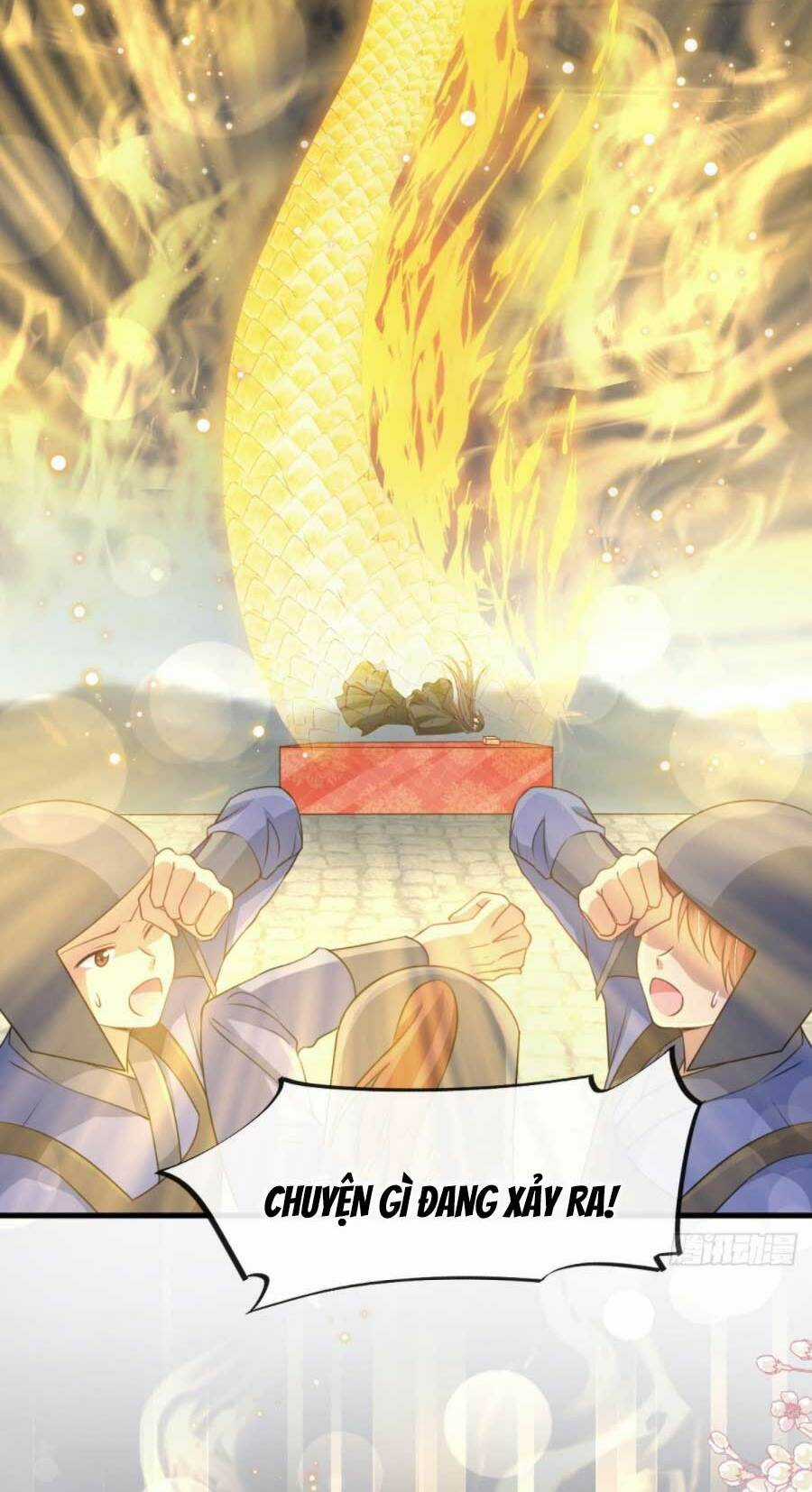 Thiên Hạ Đệ Nhất Sủng Phi - Chapter 187.1 - Trang 13