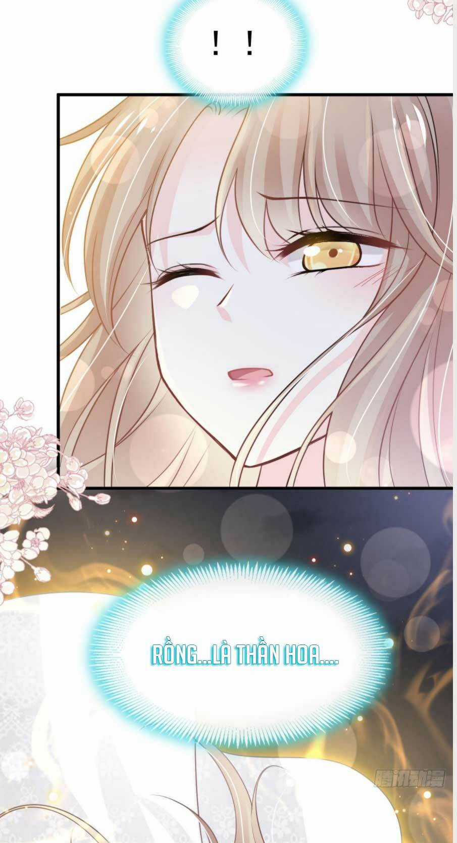 Thiên Hạ Đệ Nhất Sủng Phi - Chapter 188.2 - Trang 4