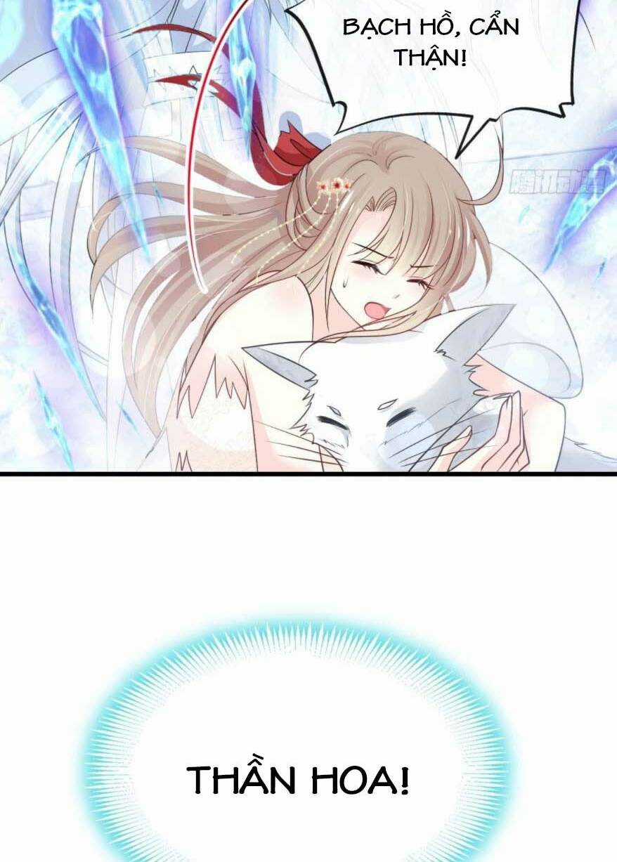 Thiên Hạ Đệ Nhất Sủng Phi - Chapter 198 - Trang 27