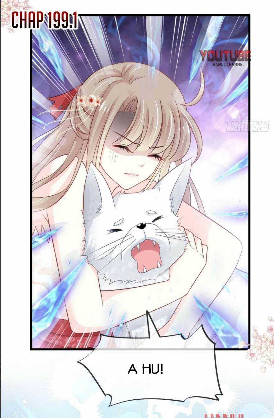 Thiên Hạ Đệ Nhất Sủng Phi - Chapter 199.1 - Trang 2