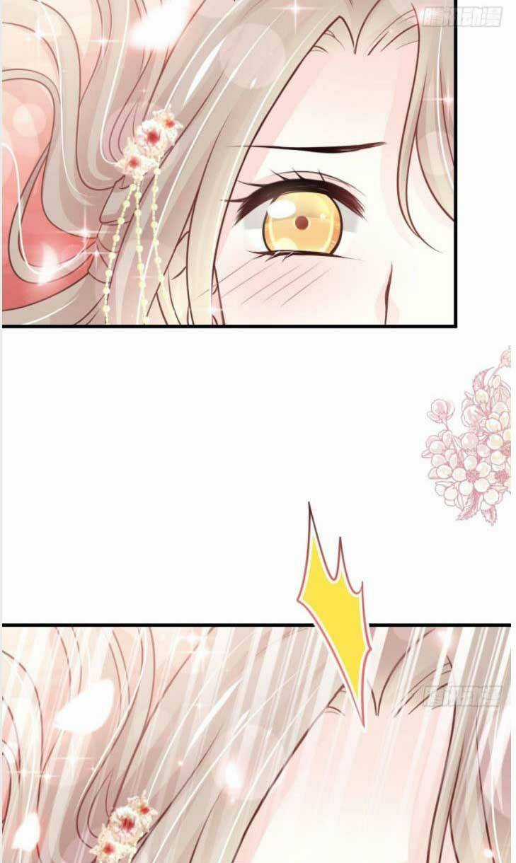 Thiên Hạ Đệ Nhất Sủng Phi - Chapter 201.2 - Trang 6