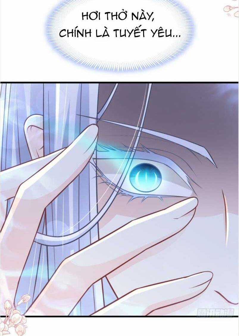 Thiên Hạ Đệ Nhất Sủng Phi - Chapter 206.1 - Trang 3