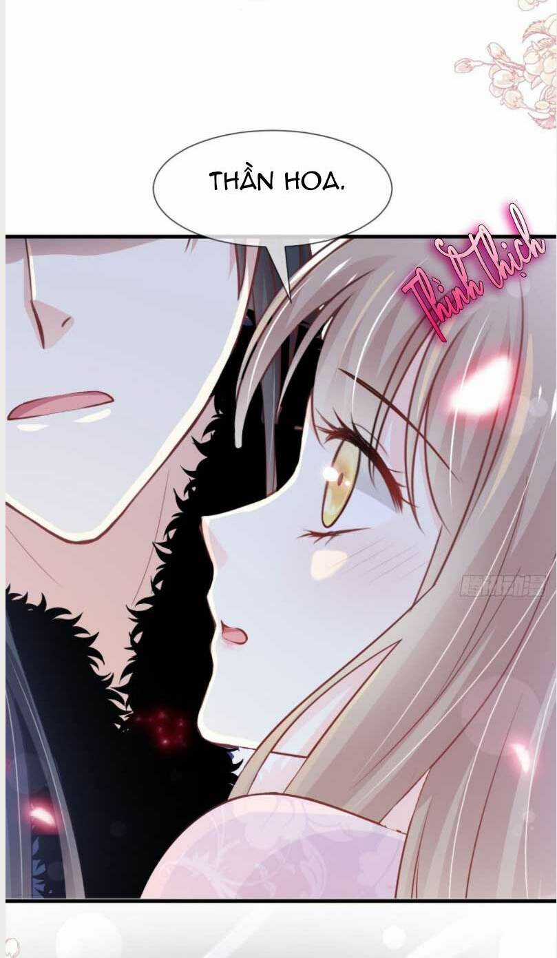 Thiên Hạ Đệ Nhất Sủng Phi - Chapter 207.1 - Trang 7
