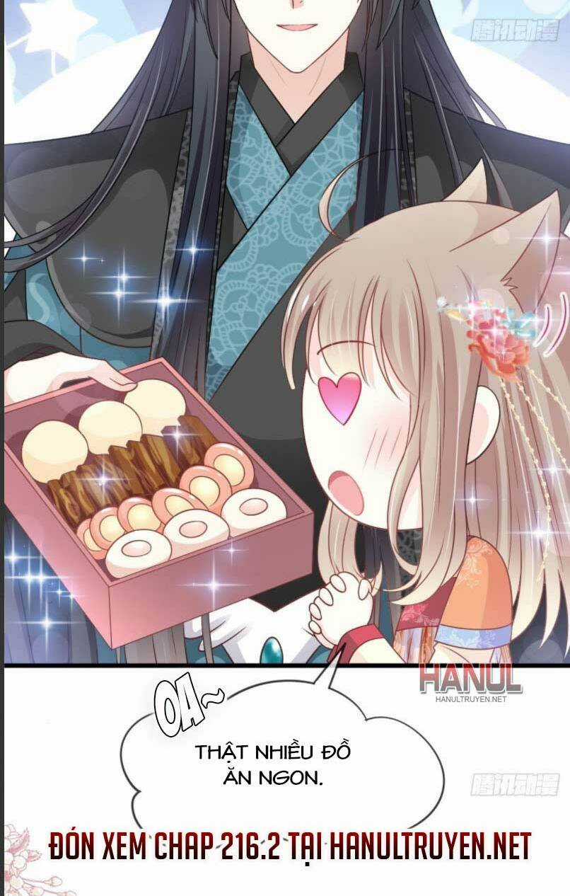 Thiên Hạ Đệ Nhất Sủng Phi - Chapter 216.1 - Trang 19