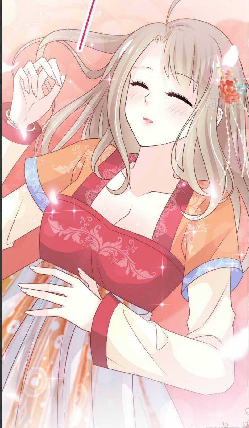 Thiên Hạ Đệ Nhất Sủng Phi - Chapter 216.2 - Trang 12