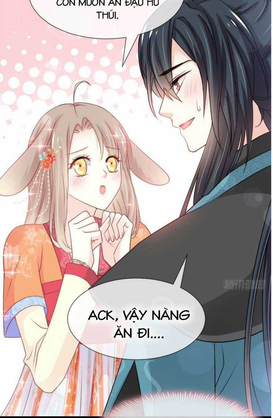 Thiên Hạ Đệ Nhất Sủng Phi - Chapter 217.1 - Trang 6