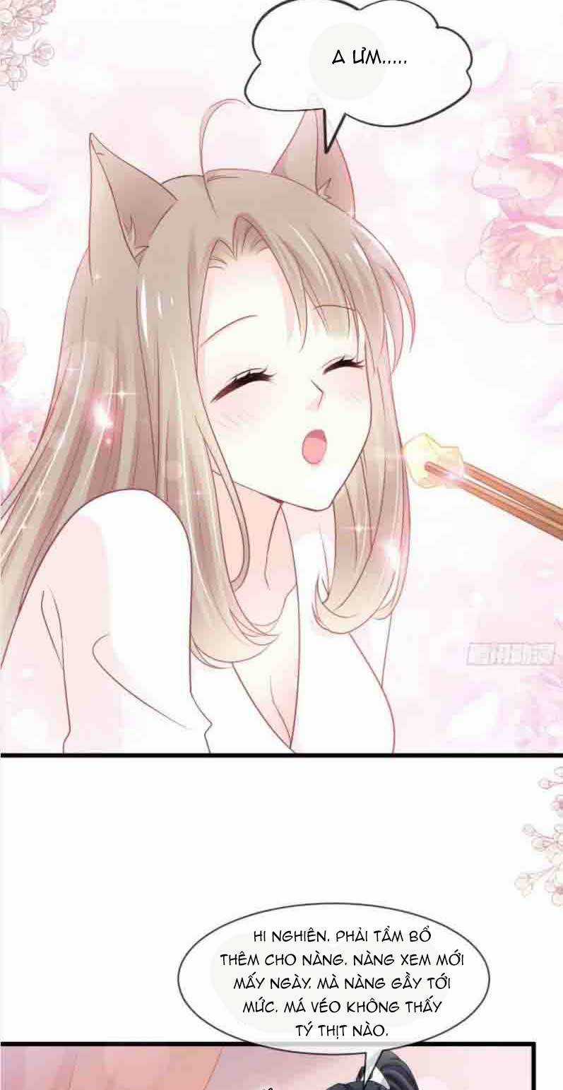 Thiên Hạ Đệ Nhất Sủng Phi - Chapter 223.1 - Trang 12