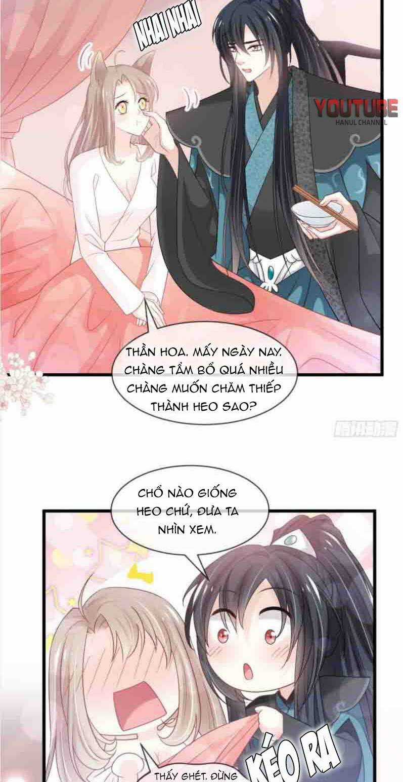 Thiên Hạ Đệ Nhất Sủng Phi - Chapter 223.1 - Trang 13