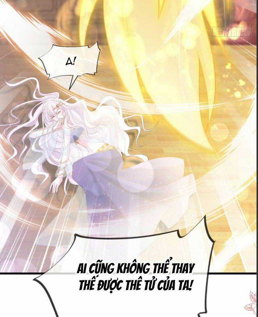 Thiên Hạ Đệ Nhất Sủng Phi - Chapter 229.2 - Trang 19