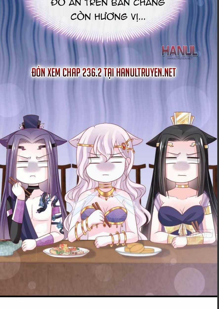 Thiên Hạ Đệ Nhất Sủng Phi - Chapter 236.1 - Trang 19