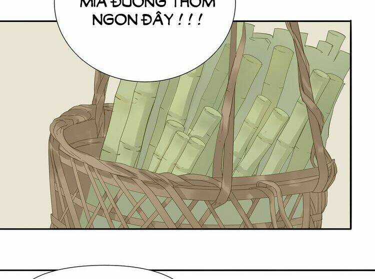 Thiên Hạ Vô Lại - Chapter 11 - Trang 14