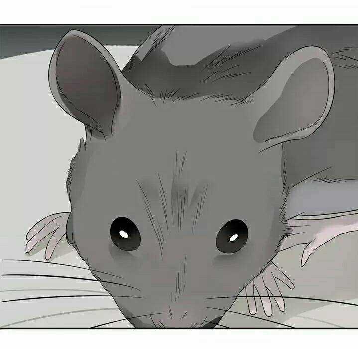 Thiên Hạ Vô Lại - Chapter 22 - Trang 47