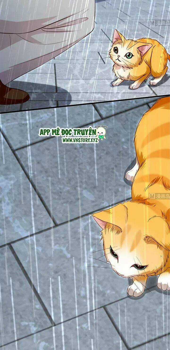 Thiên Hậu Trở Về - Chapter 184 - Trang 33