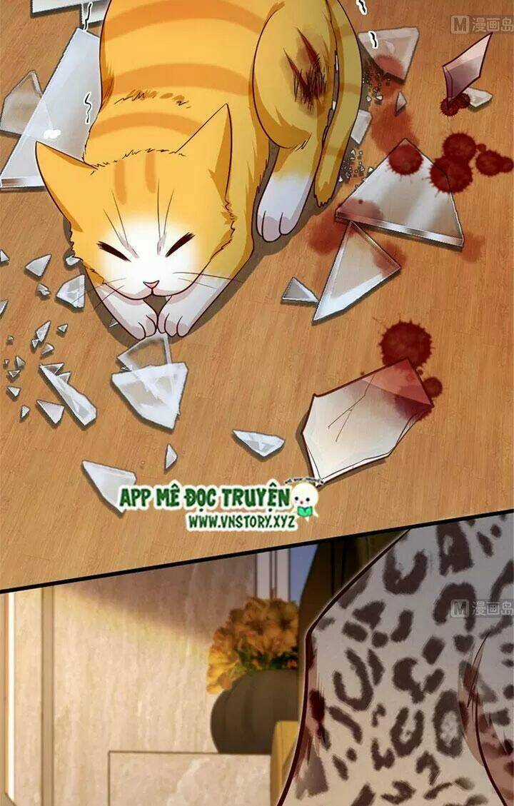 Thiên Hậu Trở Về - Chapter 186 - Trang 25