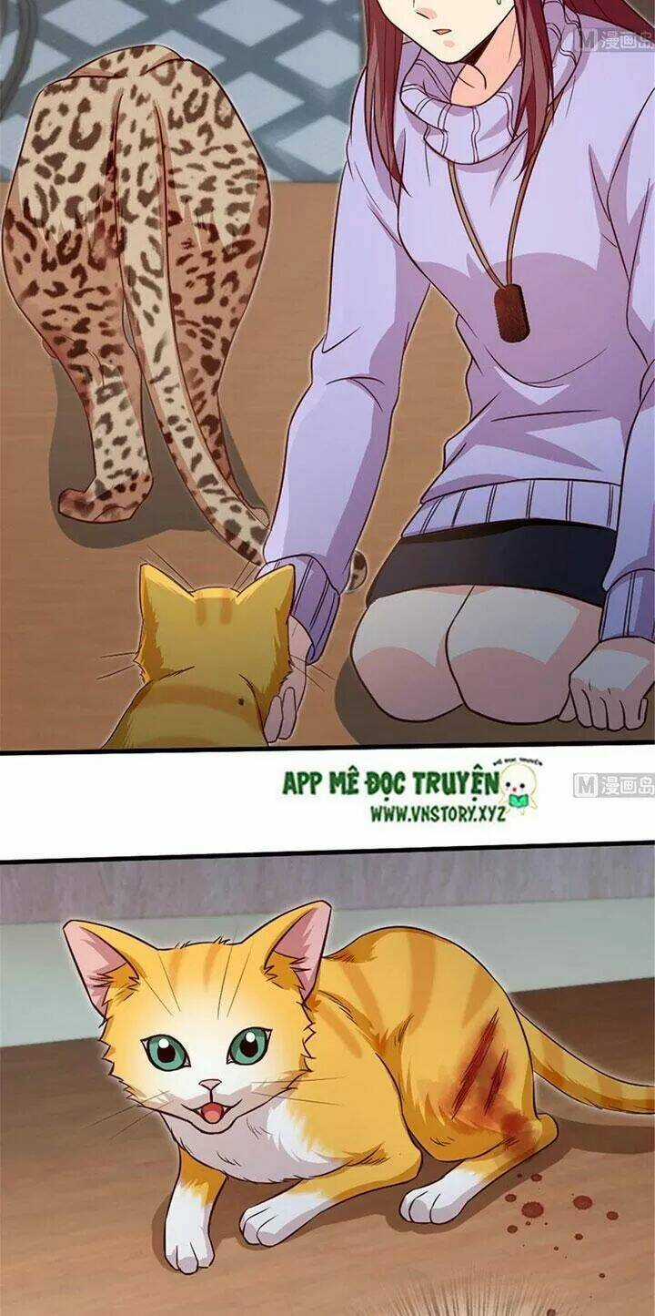 Thiên Hậu Trở Về - Chapter 187 - Trang 14