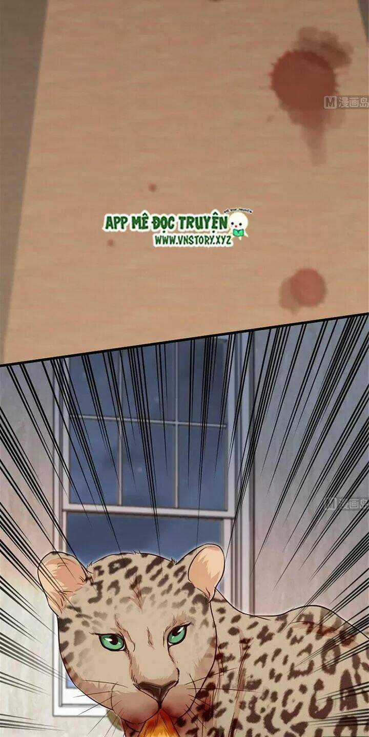 Thiên Hậu Trở Về - Chapter 187 - Trang 3