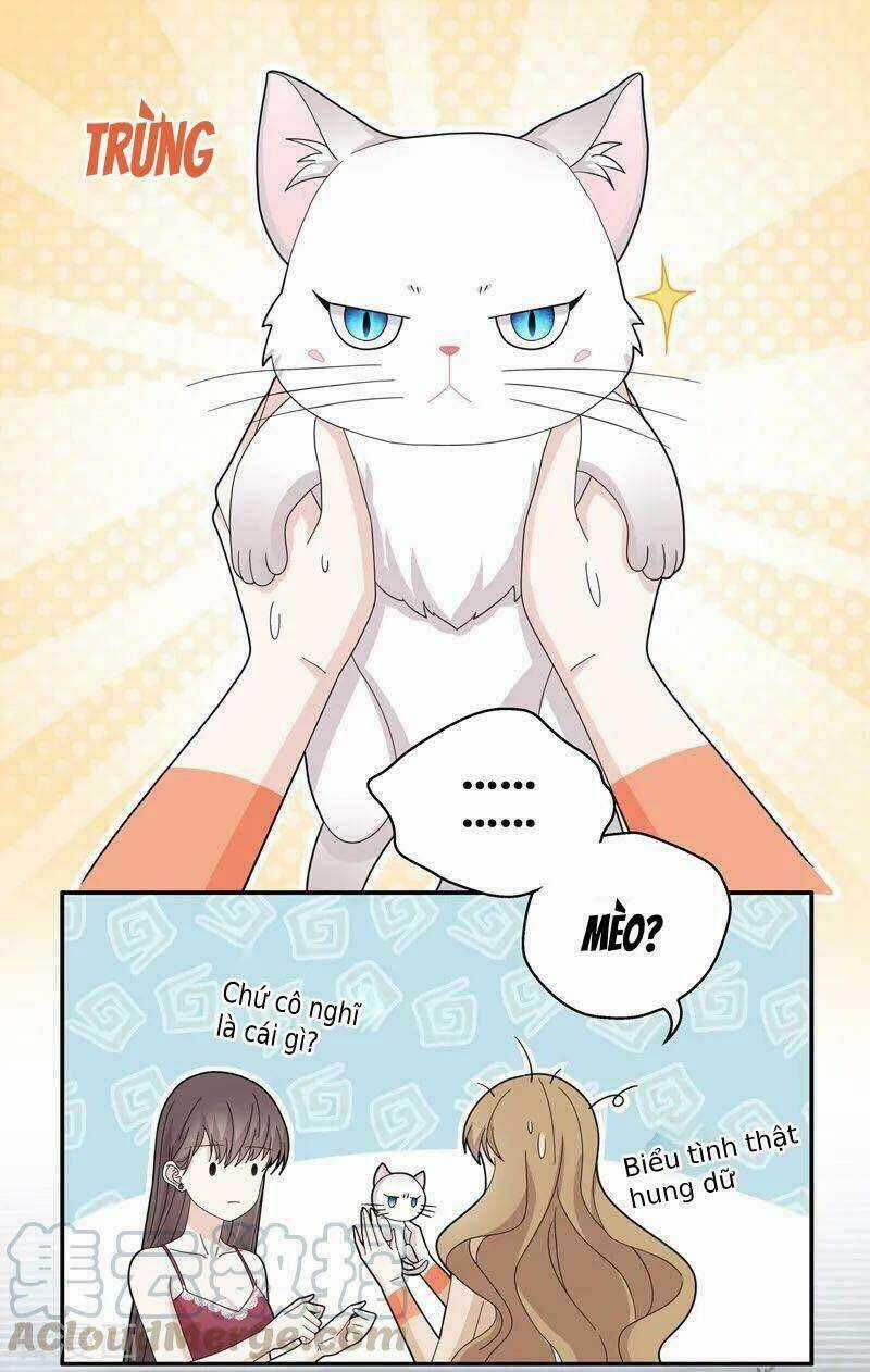 Thiên Kim Bất Lương - Chapter 41 - Trang 13