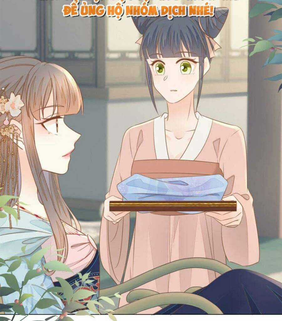 Thiên Kim Độc Phi Trọng Sinh - Chapter 20 - Trang 5