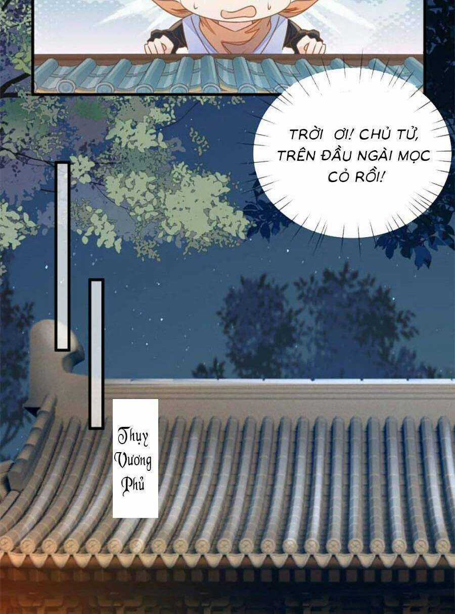 Thiên Kim Độc Phi Trọng Sinh - Chapter 27 - Trang 6