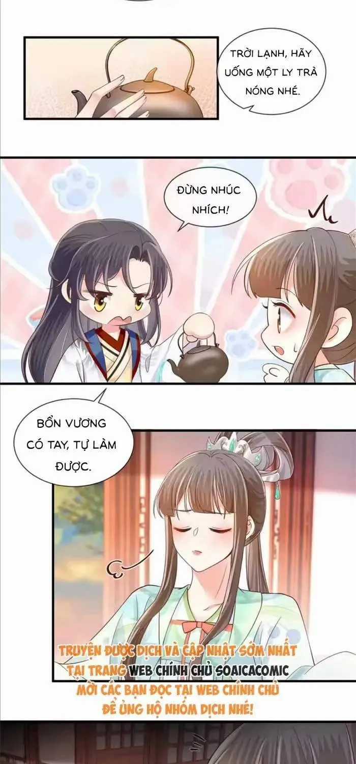 Thiên Kim Độc Phi Trọng Sinh - Chapter 64 - Trang 8