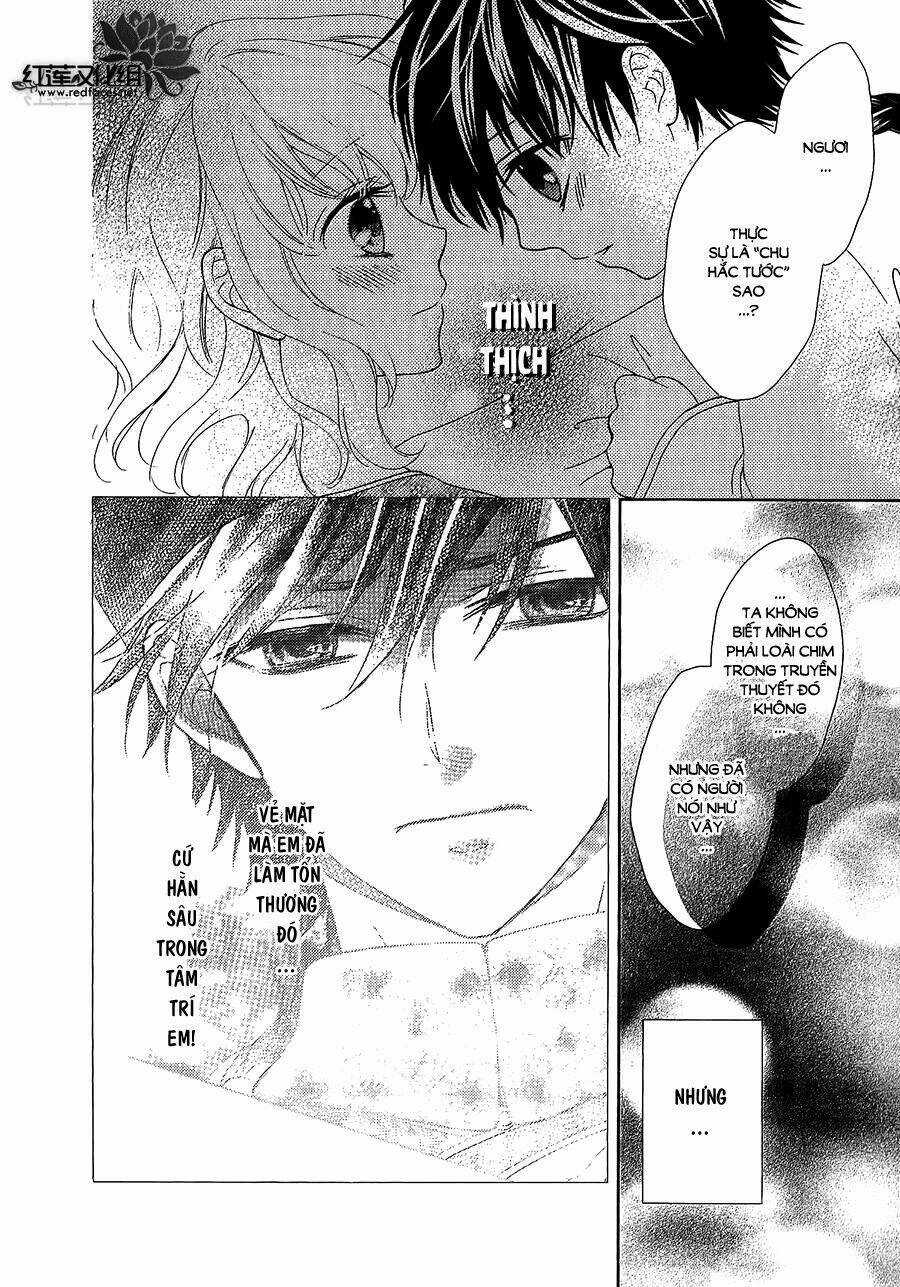 Thiên Mệnh Chi Luyến - Chapter 12 - Trang 14