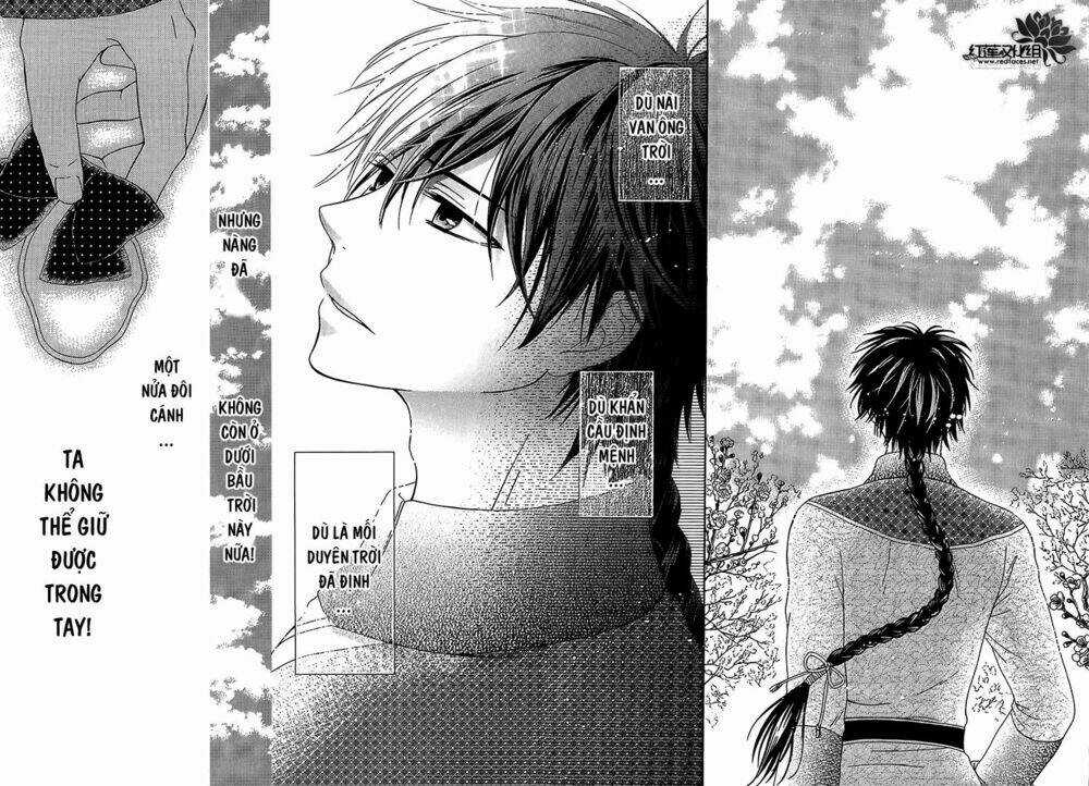 Thiên Mệnh Chi Luyến - Chapter 12 - Trang 24