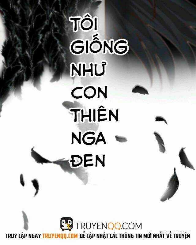 Thiên Nga Đen - Chapter 0 - Trang 12