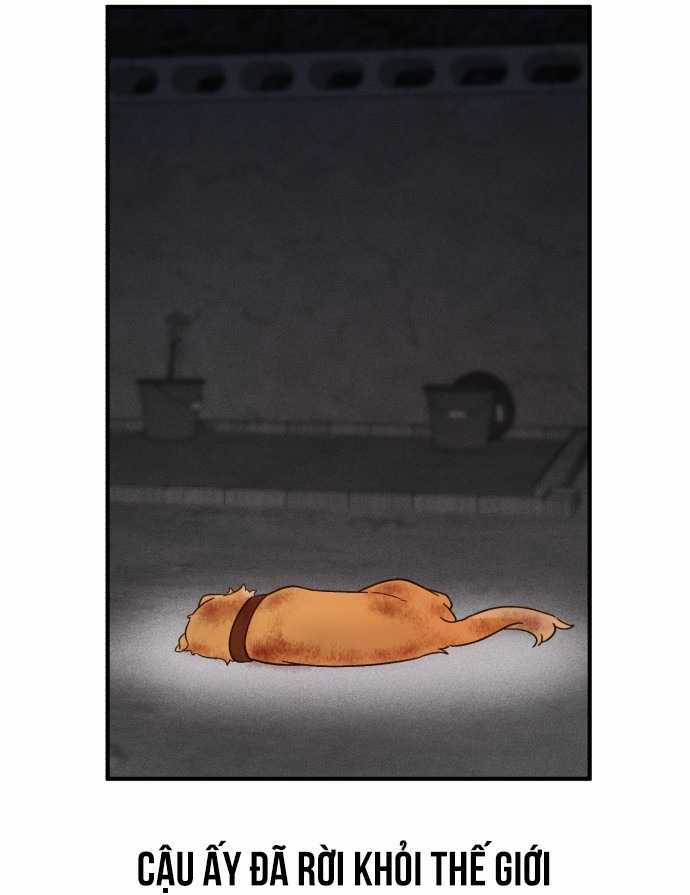 Thiên Tài Bình Dị - Chapter 1 - Trang 84