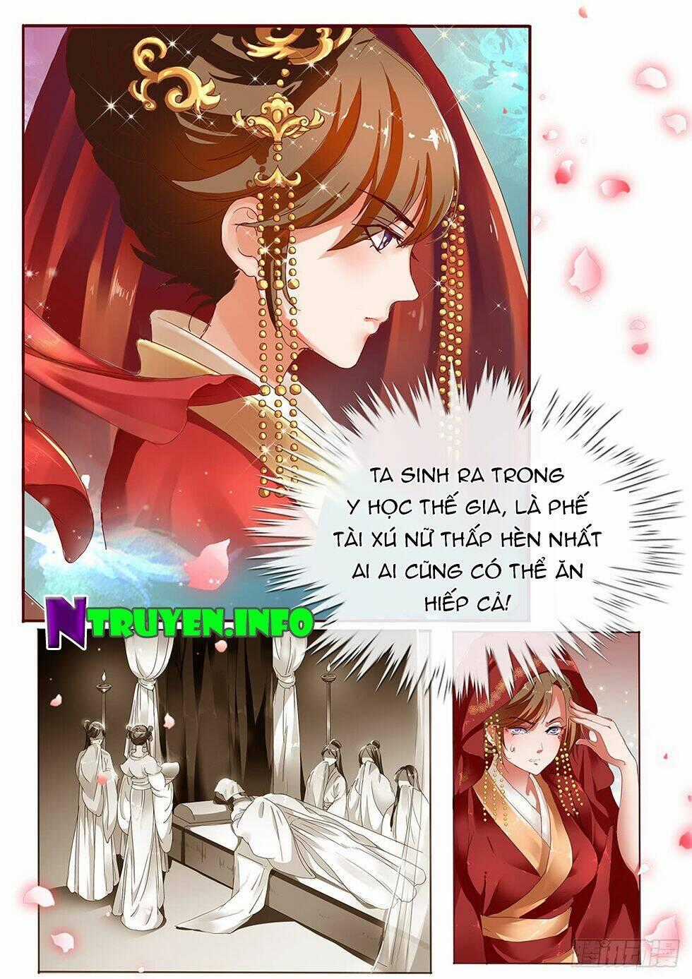 Thiên Tài Tiểu Độc Phi - Chapter 1 - Trang 2