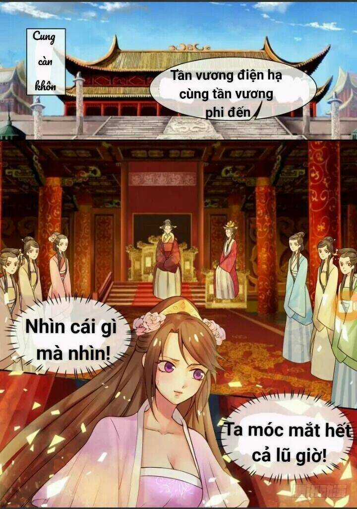 Thiên Tài Tiểu Độc Phi - Chapter 10 - Trang 4