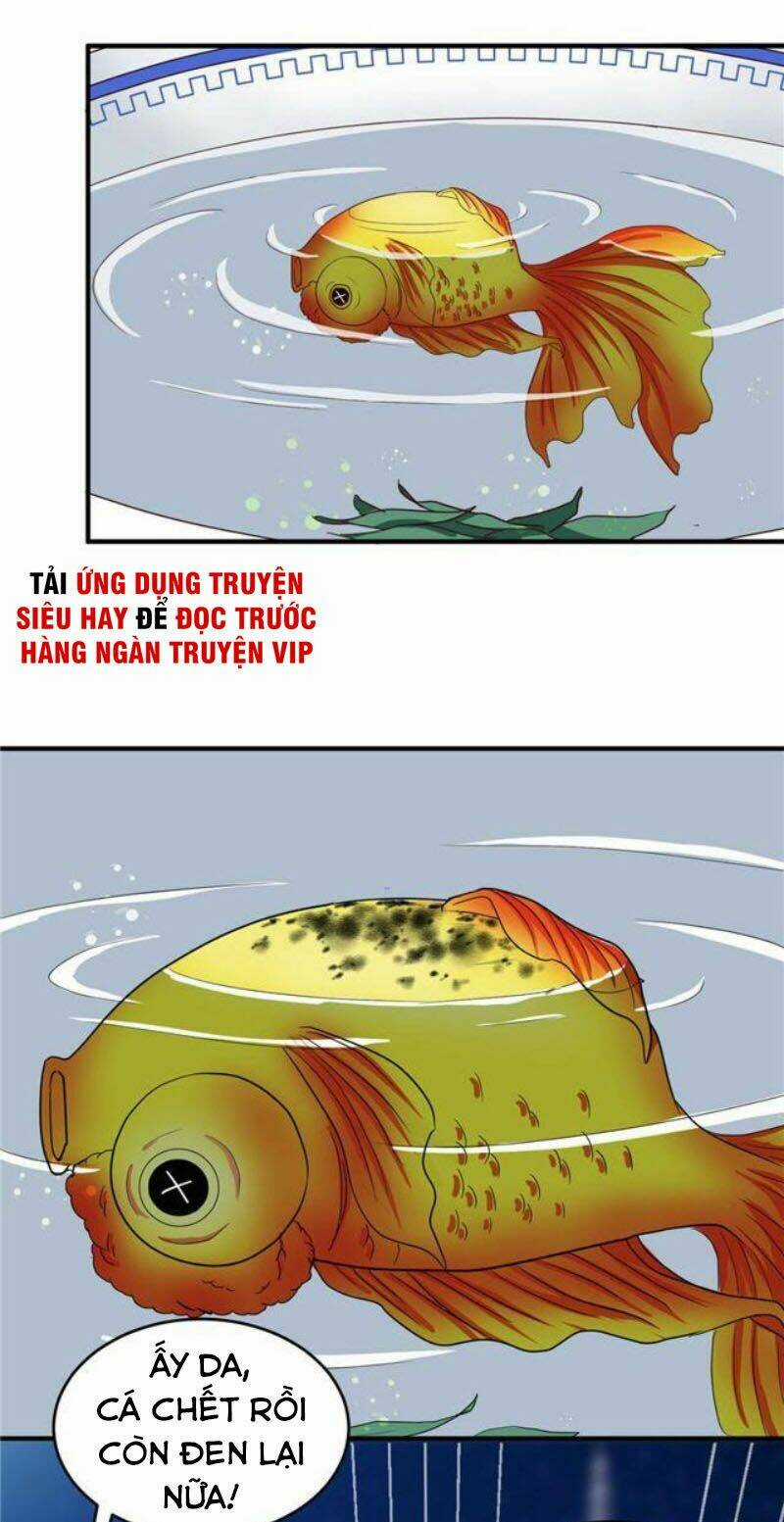 Thiên Tài Tiểu Độc Phi - Chapter 108 - Trang 11