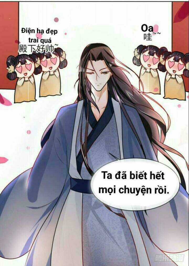 Thiên Tài Tiểu Độc Phi - Chapter 42 - Trang 17