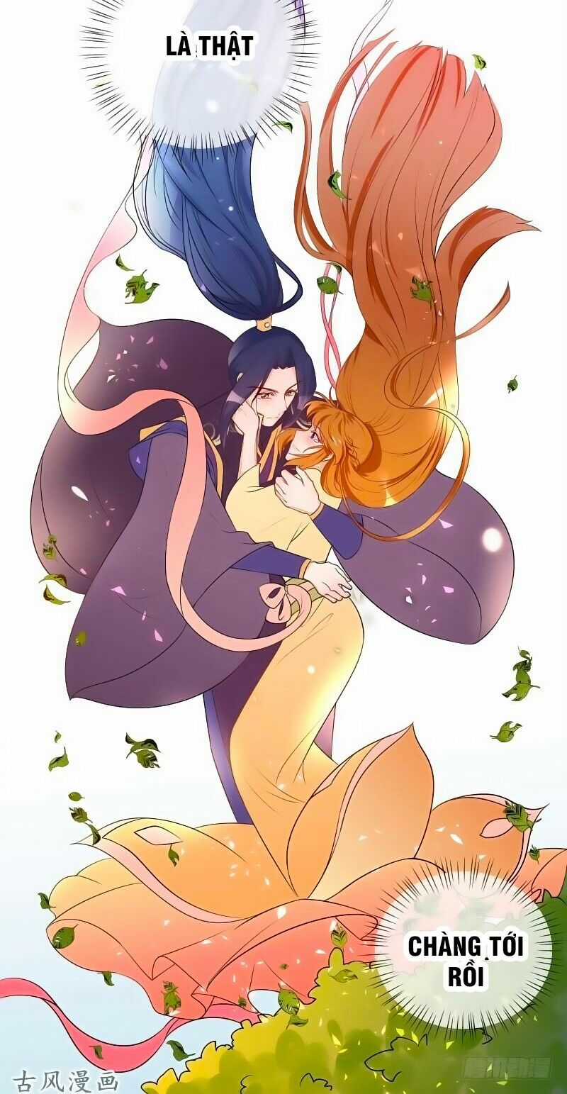 Thiên Tài Tiểu Độc Phi - Chapter 52 - Trang 21