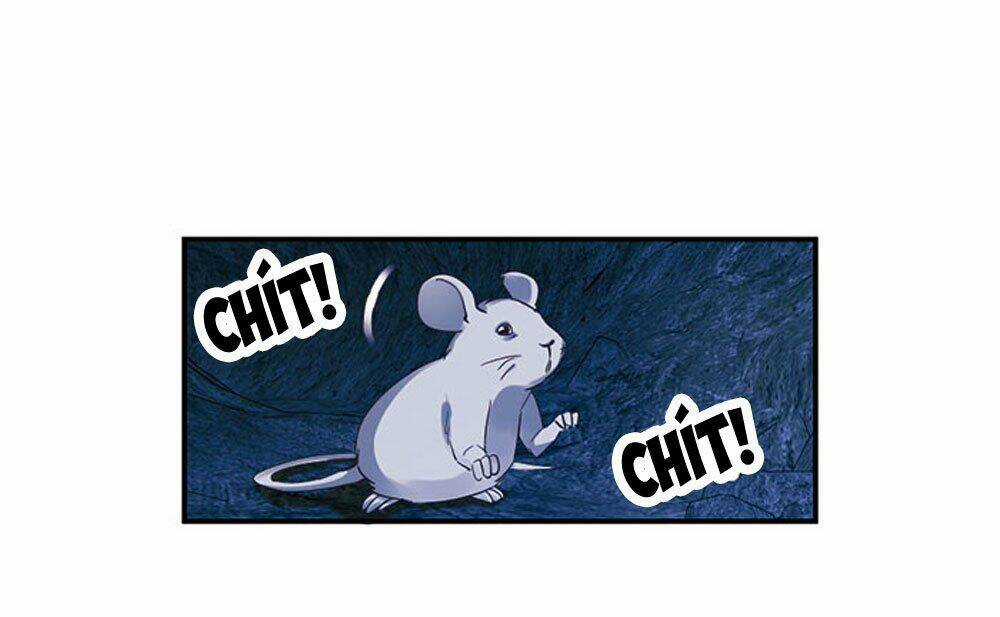 Thiền Tâm Vấn Đạo - Chapter 19 - Trang 5