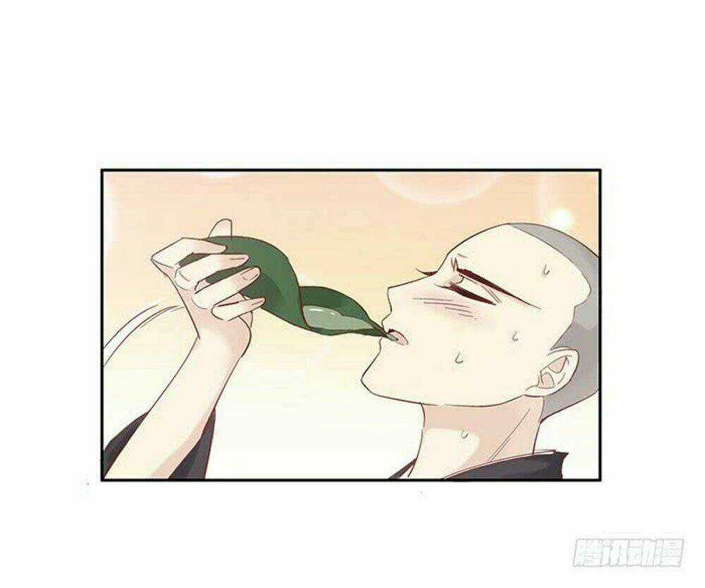 Thiền Tâm Vấn Đạo - Chapter 32 - Trang 27