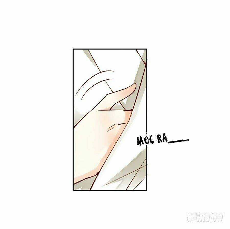 Thiền Tâm Vấn Đạo - Chapter 4 - Trang 46