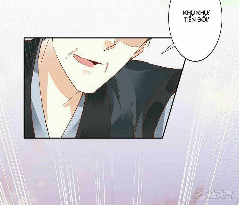 Thiền Tâm Vấn Đạo - Chapter 49 - Trang 5