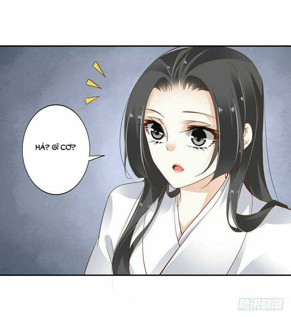 Thiền Tâm Vấn Đạo - Chapter 51 - Trang 5